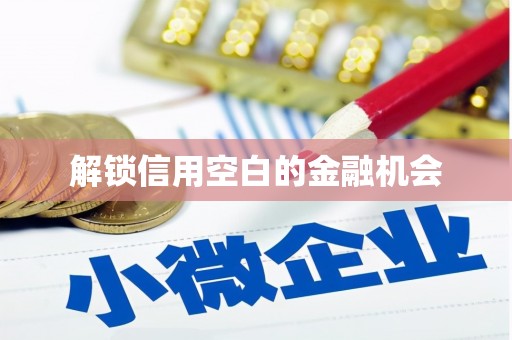孝南解锁信用空白的金融机会