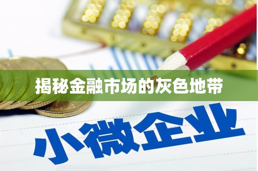 海港揭秘金融市场的灰色地带