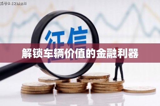 桃山解锁车辆价值的金融利器